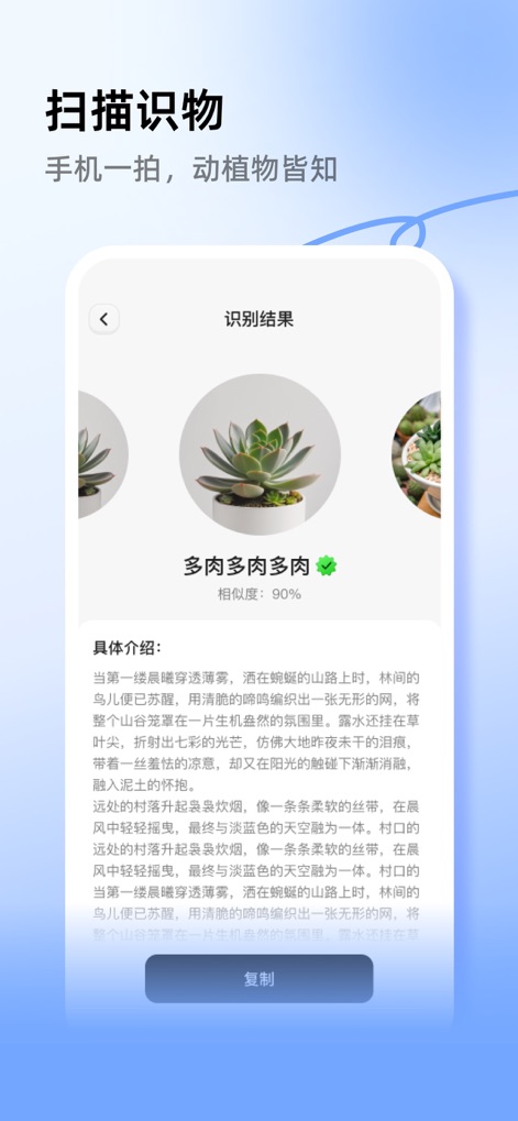 Phone counting Measurement - The app provides intelligent object recognition, presenting identified items like succulents with a high "90% similarity" and detailed information.