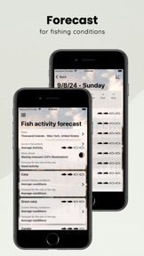 When to Fish - Fishing App screenshot