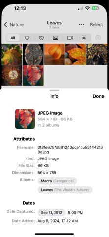 Opla - Photo organizer iPhone screenshot