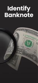 Banknote Identifier: Old Money screenshot