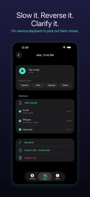 SpectraWave Recorder screenshot 3