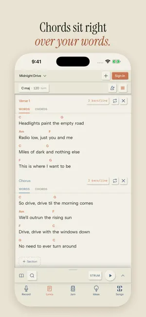 Song Cage: Capture Song Ideas screenshot 2