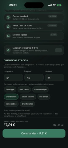 Galifar: Courier & Delivery Screenshot 1 of 8