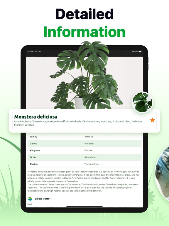Plant ID: Nature Identifier AIのおすすめ画像2