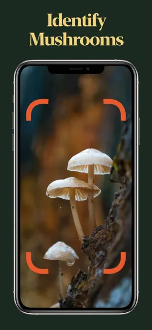 Mushroom Identifier screenshot 1