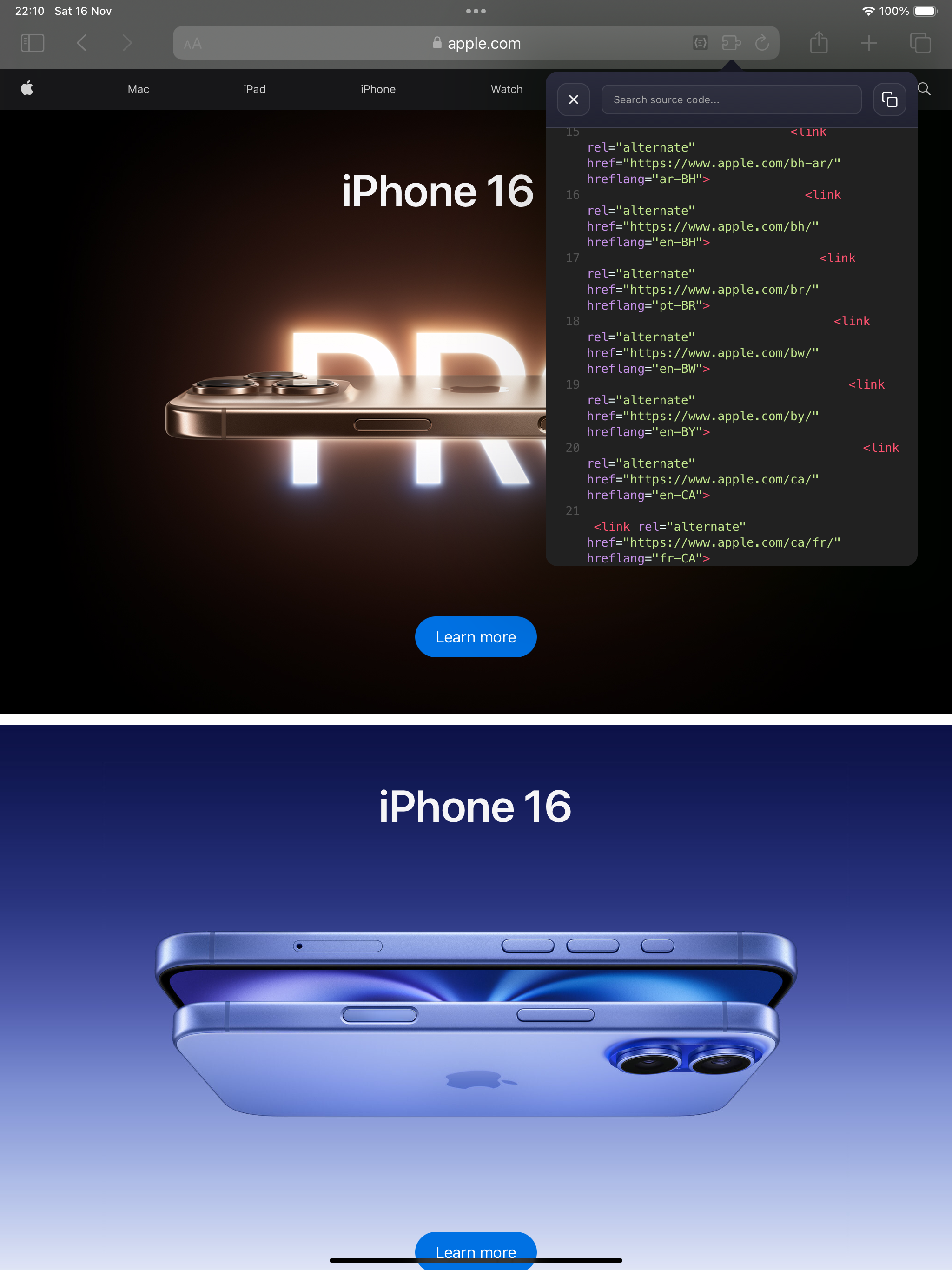 SourceView Pro - Inspector Web