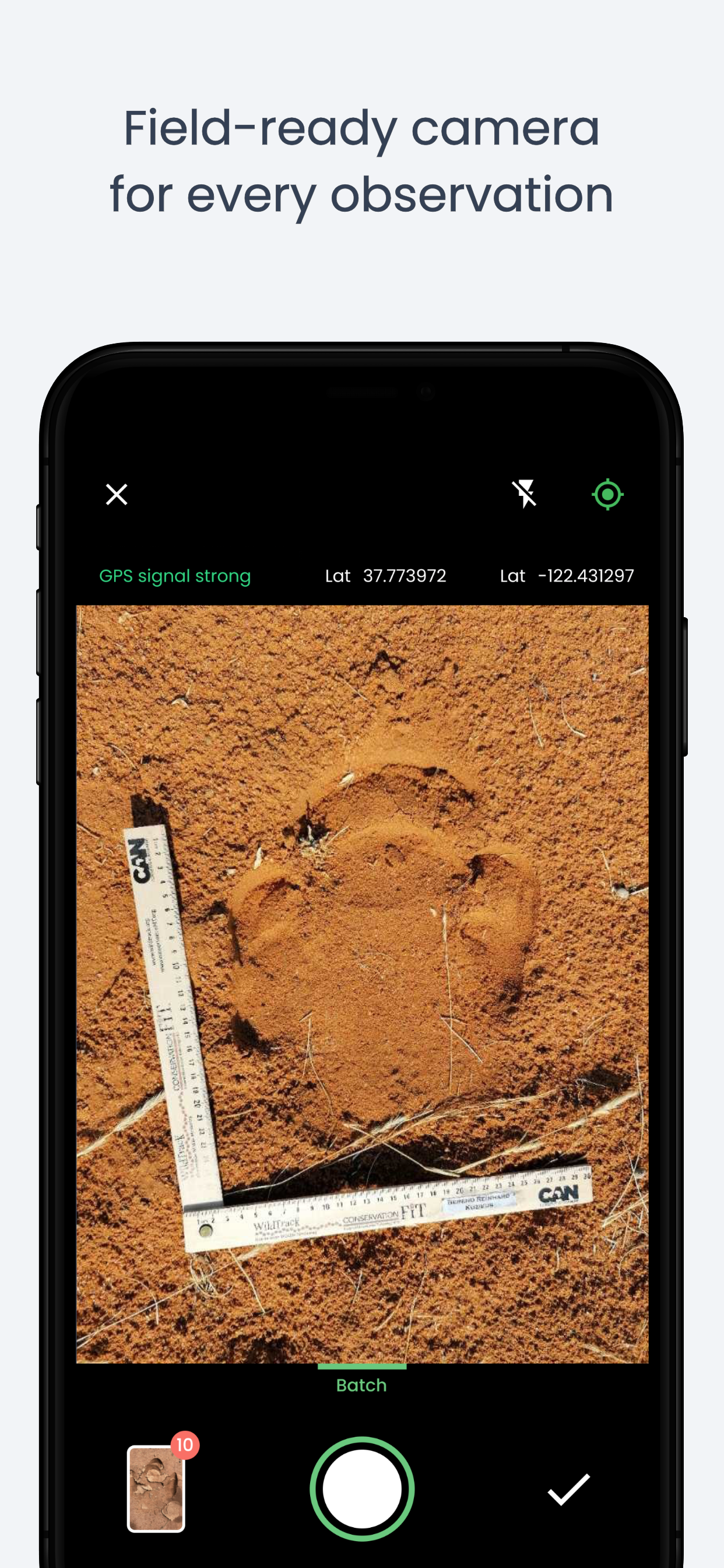 WildTrackAI