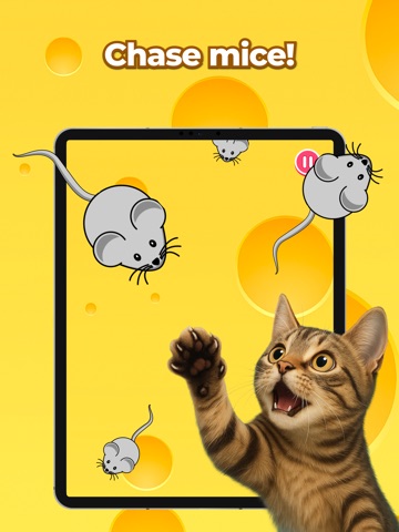 Cat Games for Cats: Fishing iPad screenshot