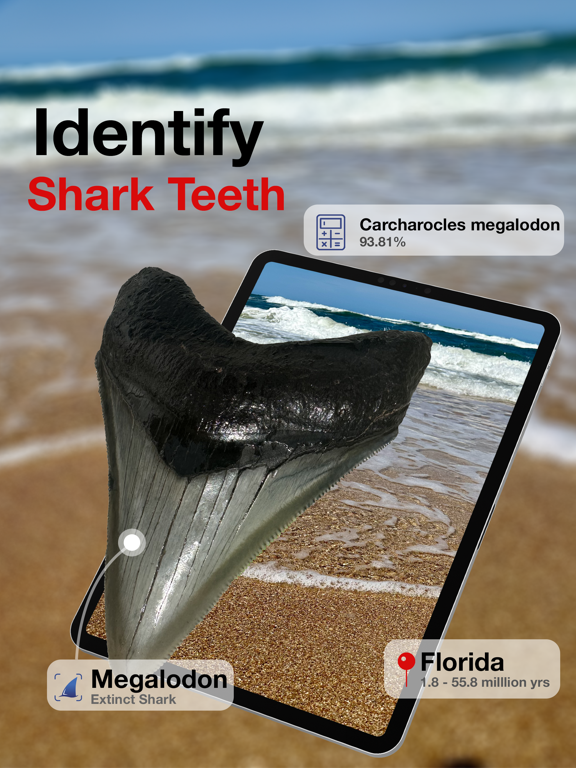 BeachBop® iPad screenshot 1 - Education app