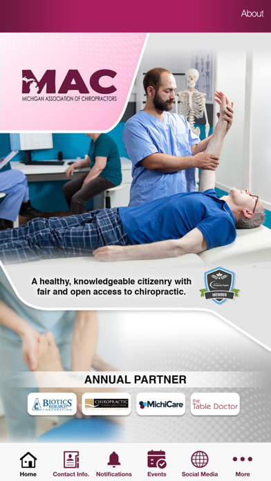 Michigan Asn. of Chiropractors screenshot