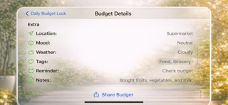 Daily Budget Lock screenshot