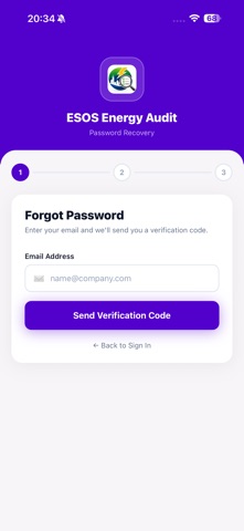 ESOS Audit App screenshot