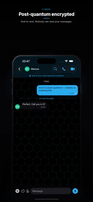 Qwing Messenger screenshot 2