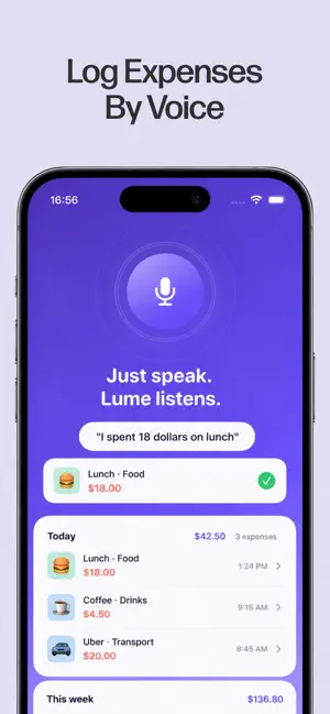 LUME: Track & Budget Money screenshot 2