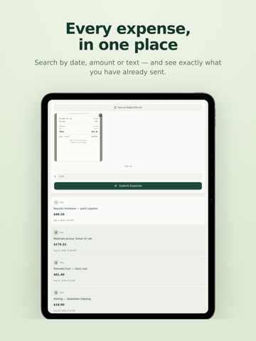 Zenfo Expenses iPad screenshot