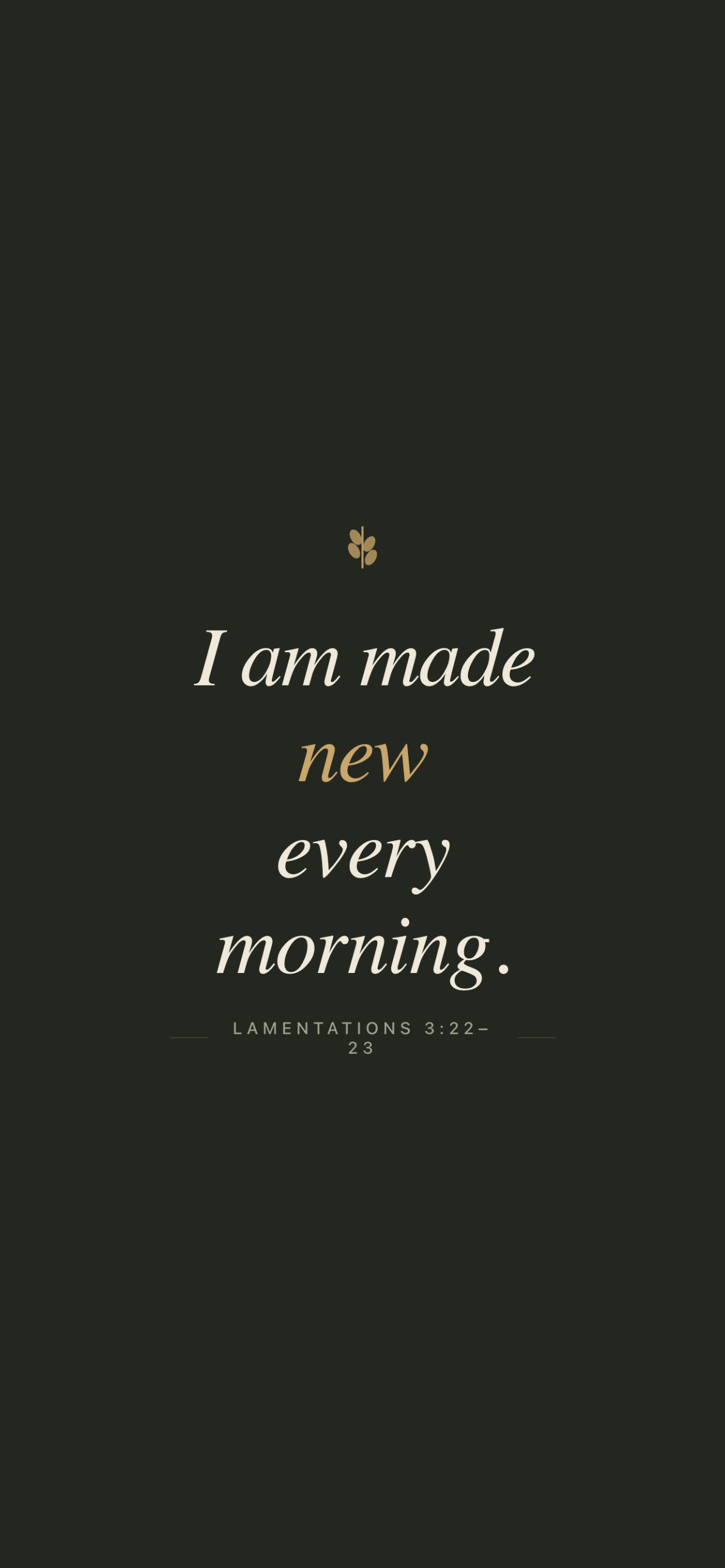 Daily Bible Truth Affirmations screenshot 5