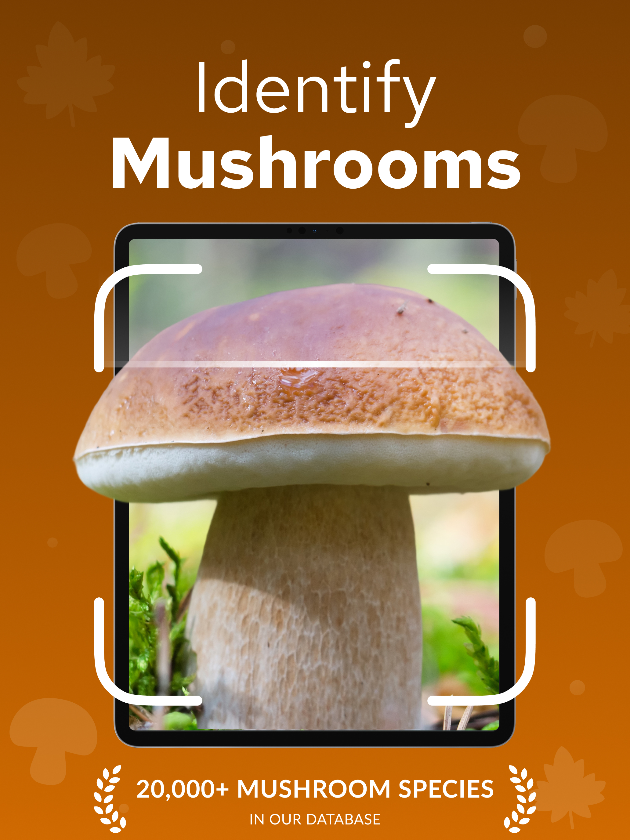 Mushroom Identifier – Mushrum screenshot 9