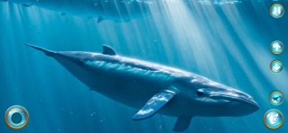 Whale Life Saga Screenshot 6 of 6