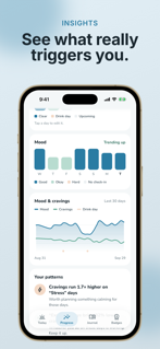 Sober Tracker: Drink Less screenshot 4