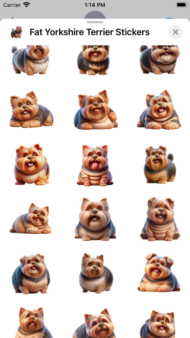 Screenshot #2 pour Fat Yorkshire Terrier Stickers