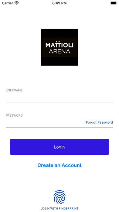 Mattioli Arena Screenshot