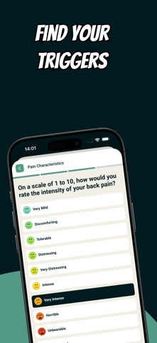 Back Pain Diary - Daily Log iPhone screenshot
