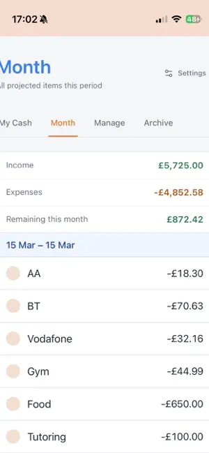 My Cash Flow screenshot 3