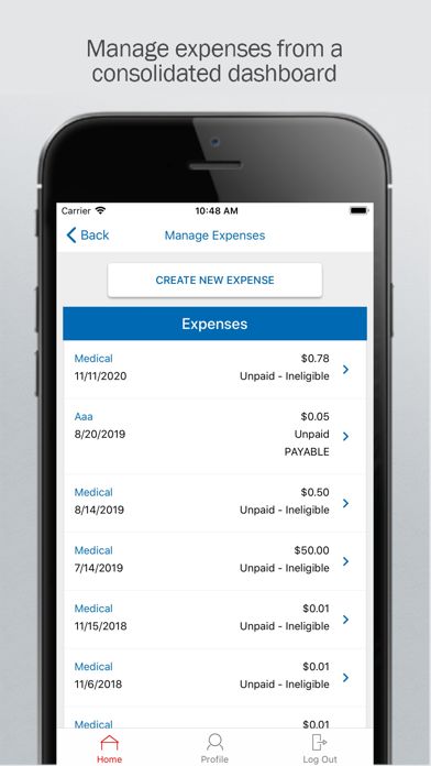 Transamerica HSA Screenshot