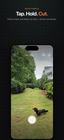 DayTapes screenshot