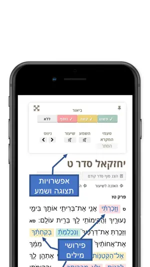 Tanach Yomi screenshot 4