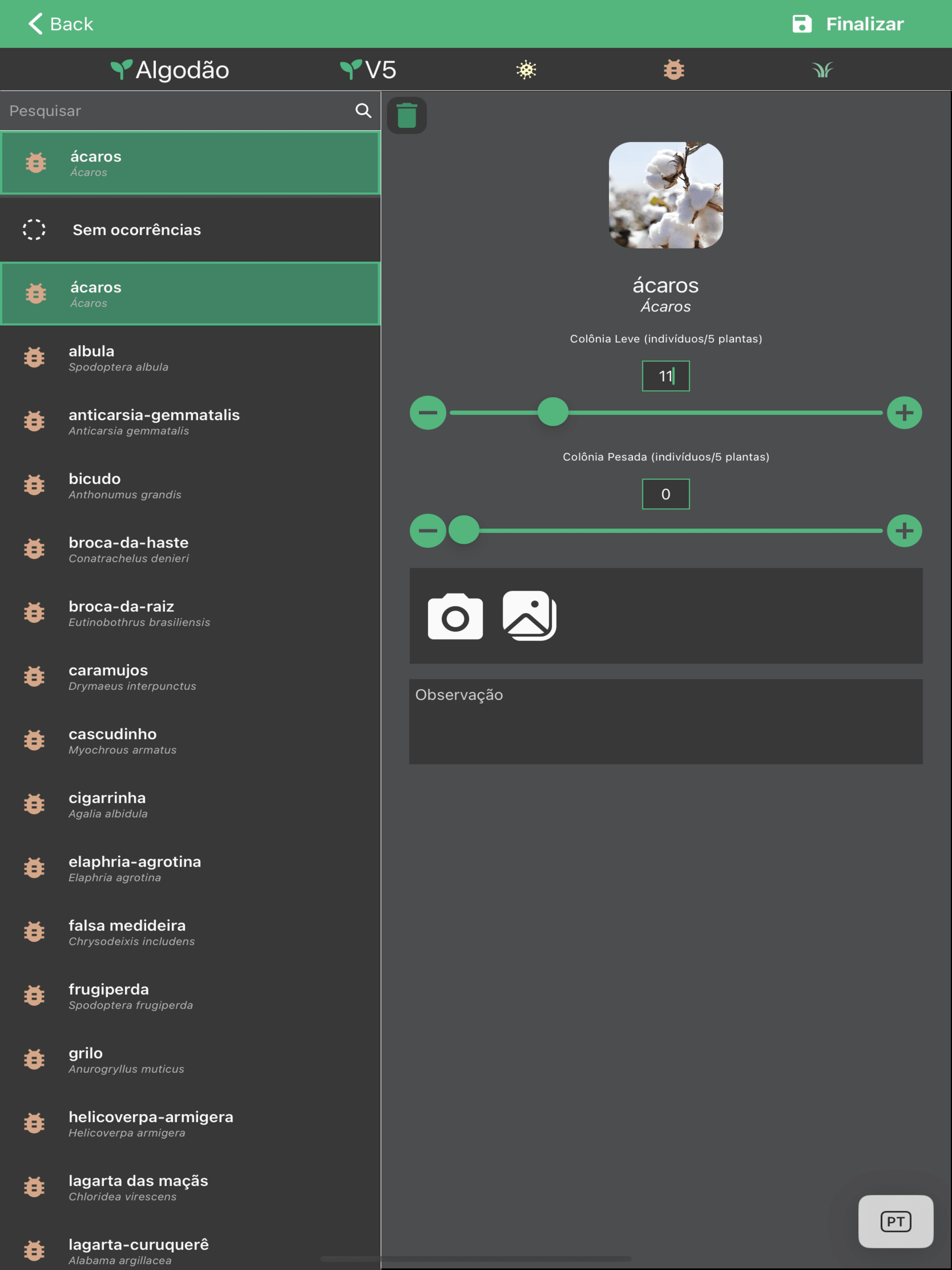 thetipster.ai