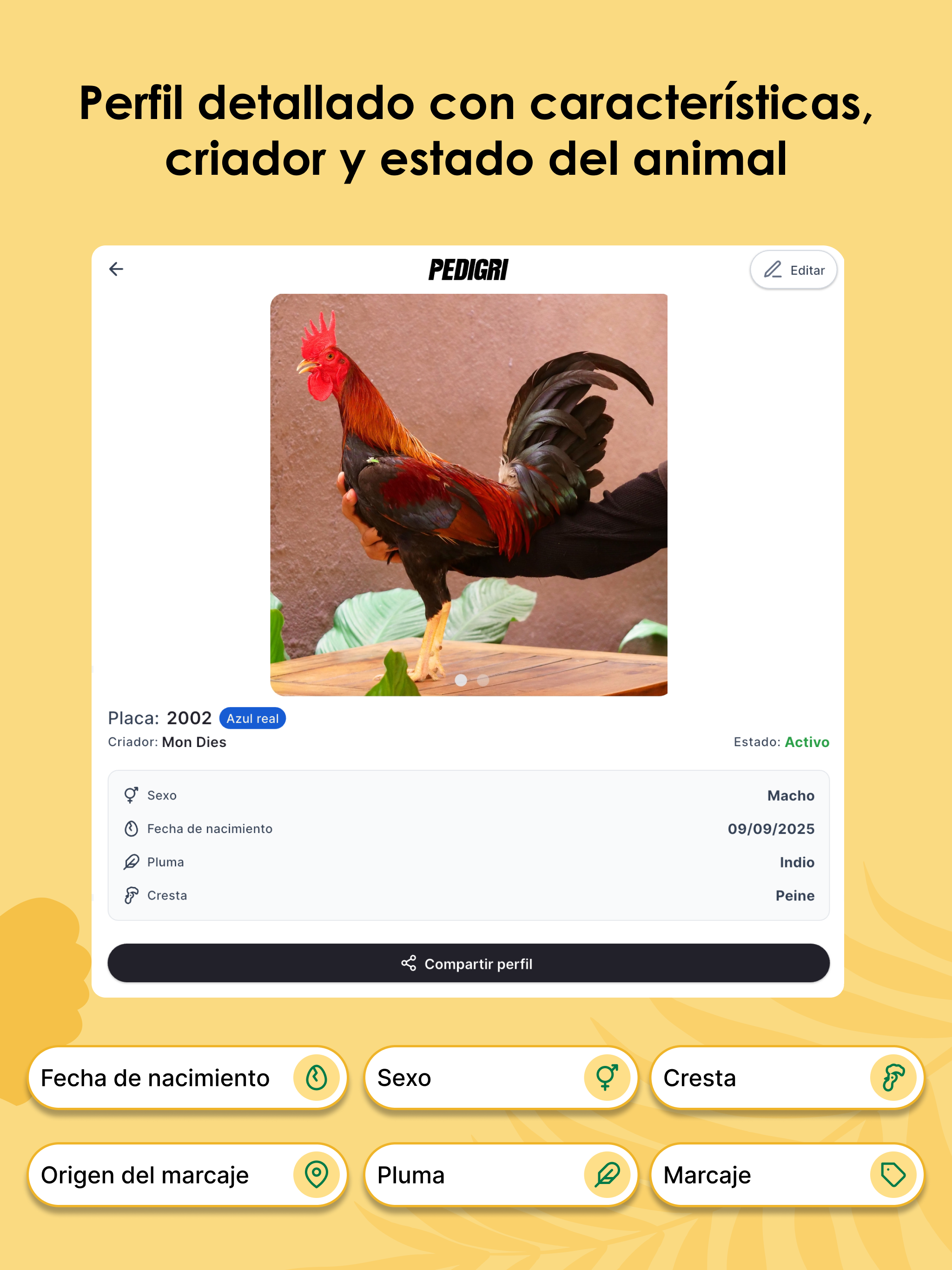PEDIGRI