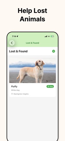 StraySync - Find Stray Cat&Dog Screenshot 5 of 8
