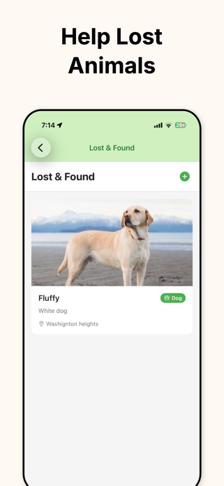 StraySync - Find Stray Cat&Dog Screenshot 5 of 8