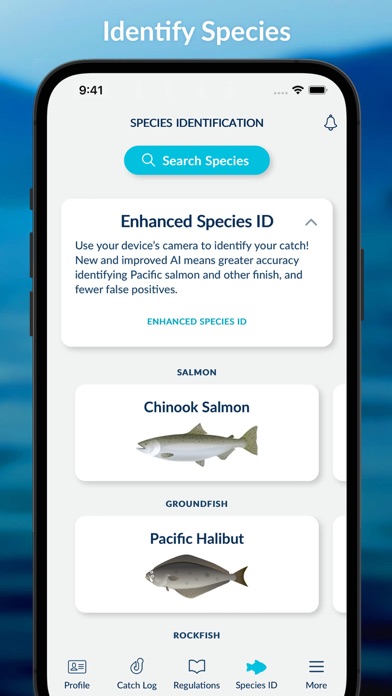 FishingBC Screenshot