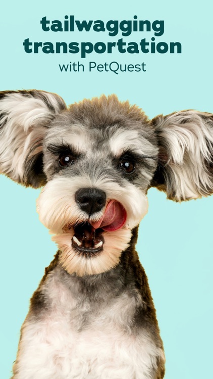 PetQuest | Pet Travels screenshot-7