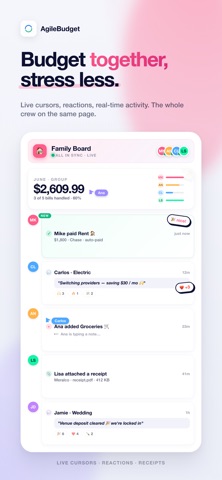 AgileBudget: Team Budget screenshot