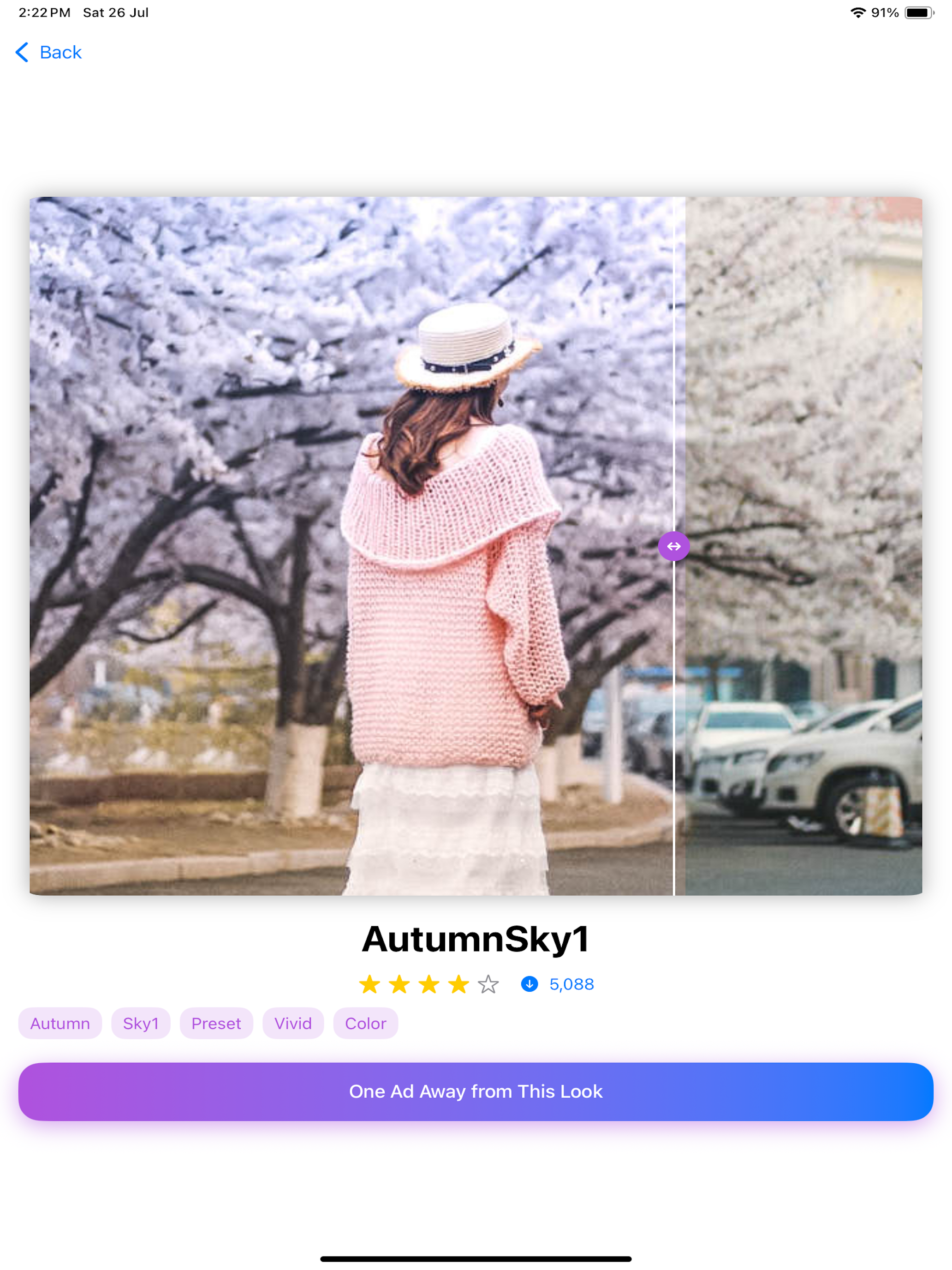 Presets for Lightroom - Vivid screenshot 10