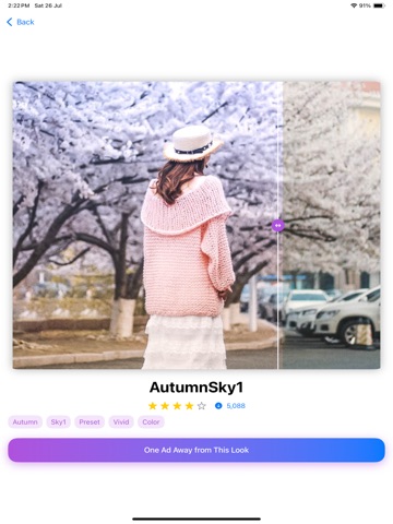 Presets for Lightroom - Vivid iPad screenshot