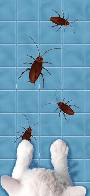 Games for Cats - Kittens Play screenshot 4