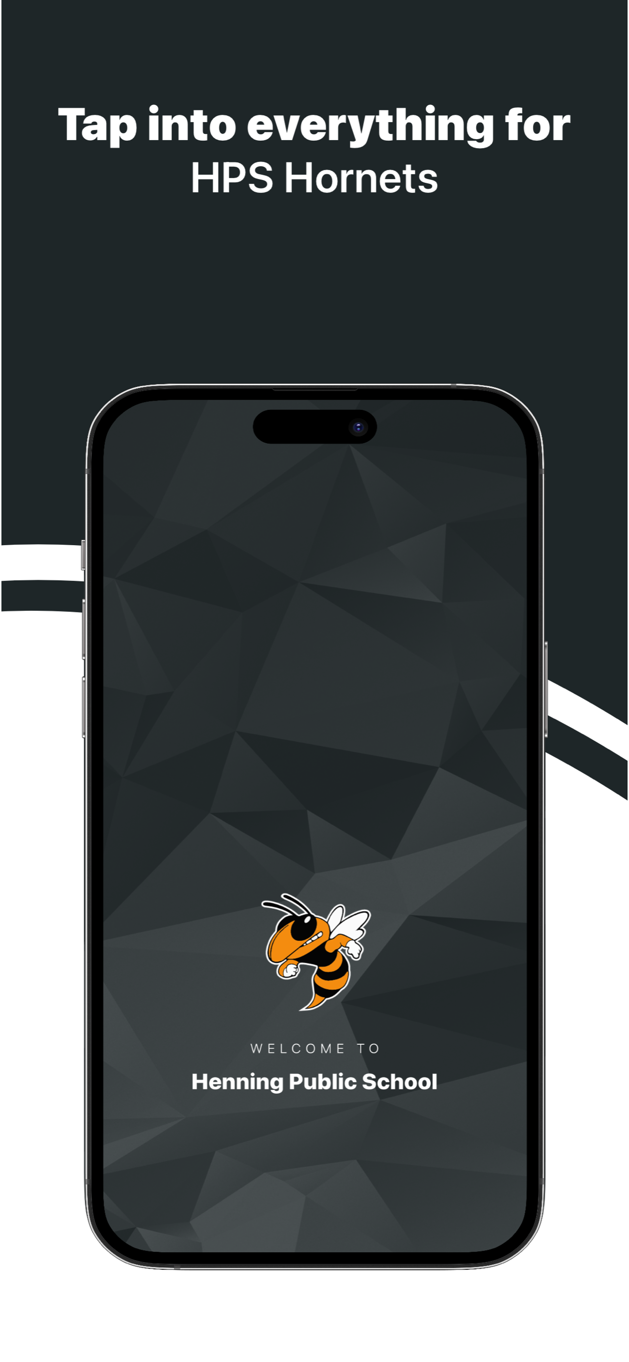 Henning Public School Hornets