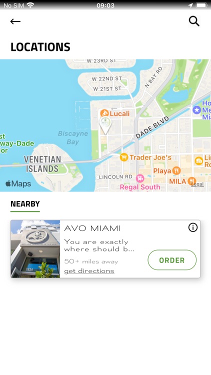 Avo Miami