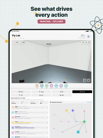 Fly Lab: Pocket Laboratory iPad screenshot