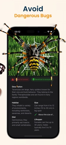 Insect Identifier: Scan Bug iPhone screenshot