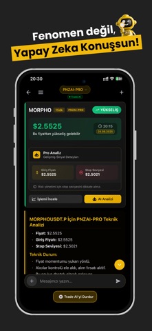 PNZ AI screenshot