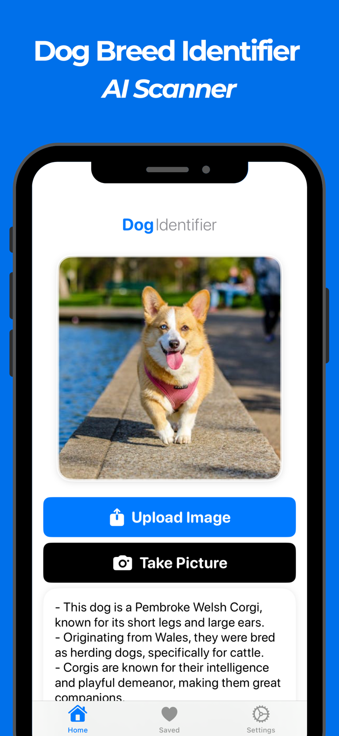 Dog Breed Identifier Scanner