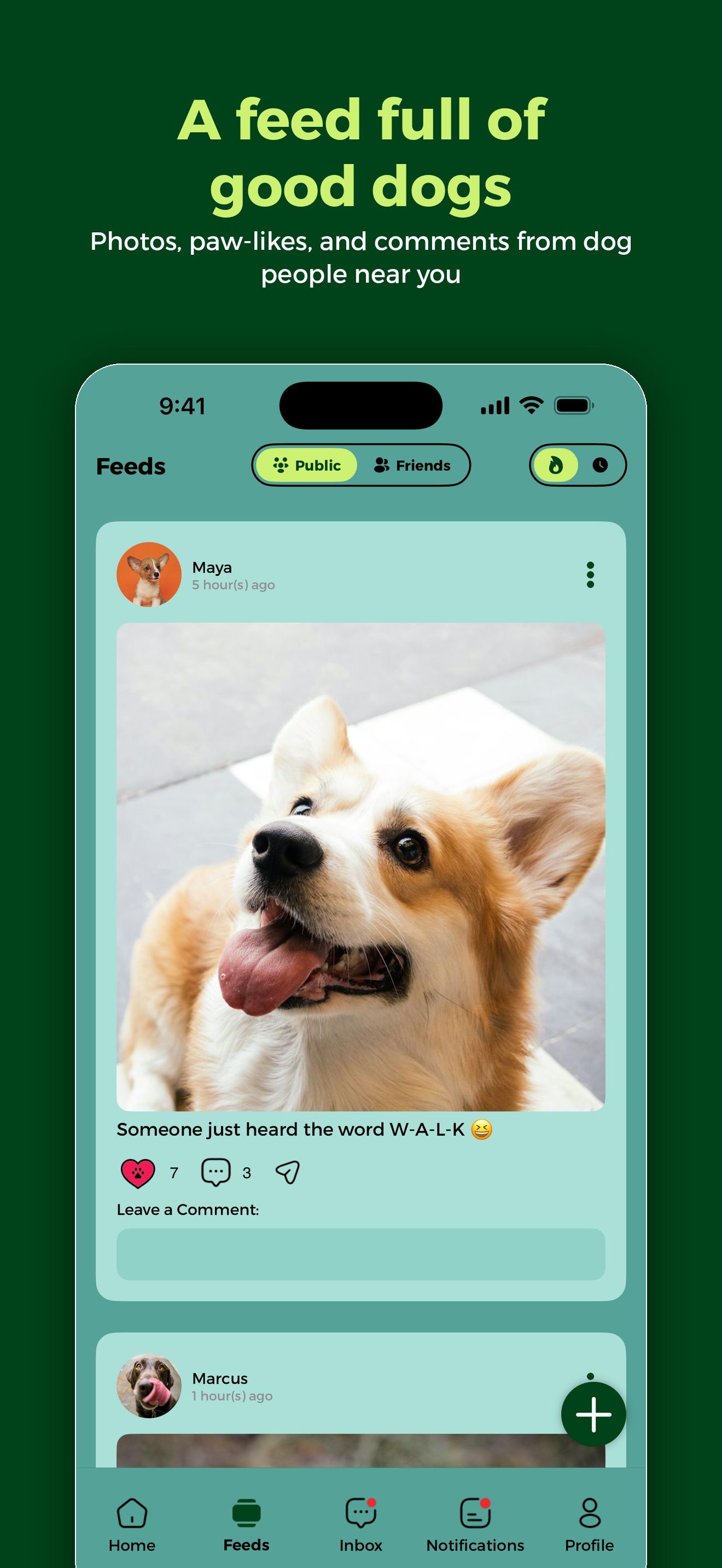 TailTalk: Life With Your Dog screenshot 2