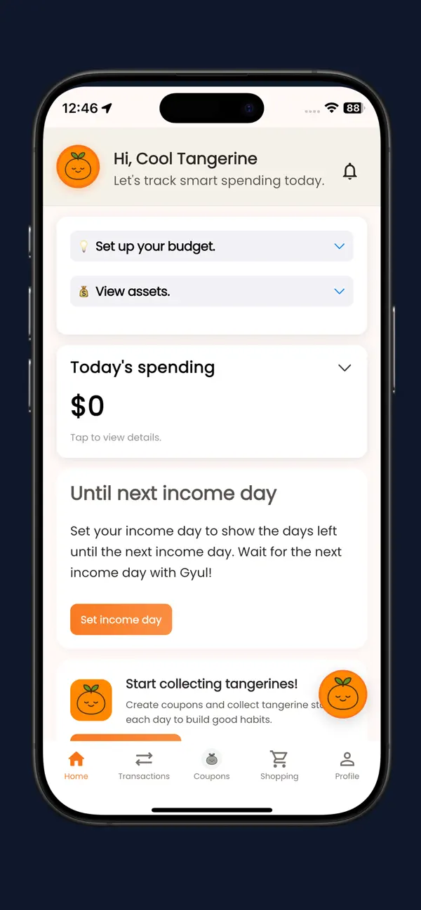Tangerine Budget screenshot 2