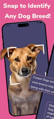 Dog Breed ID: Puppy Scanner screenshot