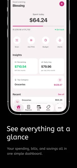 Pink Finance AI iPhone screenshot 2
